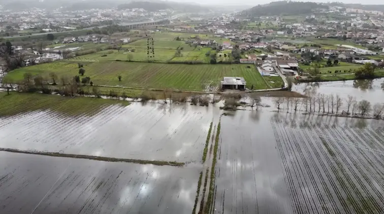 árvores destruídas pelo mau tempo